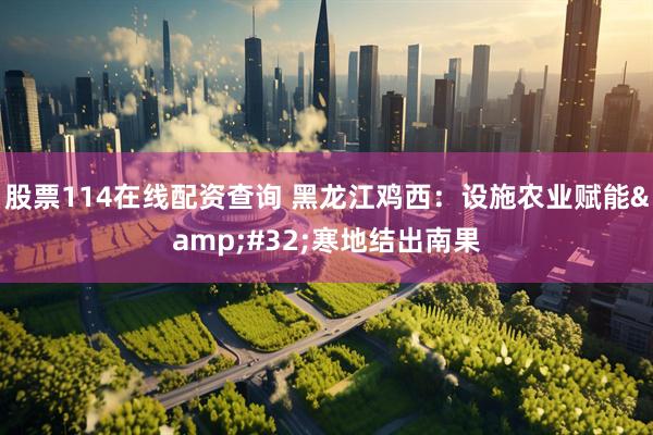 股票114在线配资查询 黑龙江鸡西：设施农业赋能 寒地结出南果